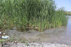 Nizak.media https://www.nizak.media IMG_6273